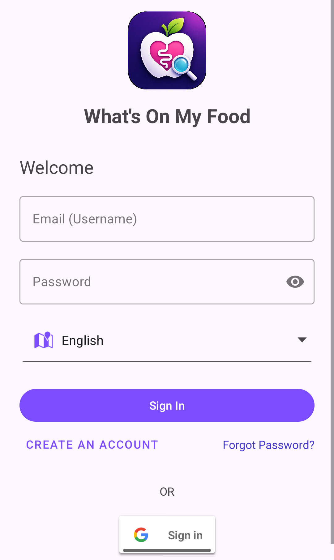 Sign-in screen